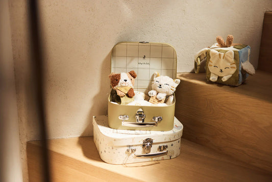 Spielzeugkoffer Tiny Park